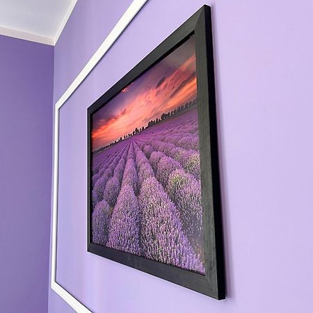 Apartament Lawendowy Валбжих Экстерьер фото