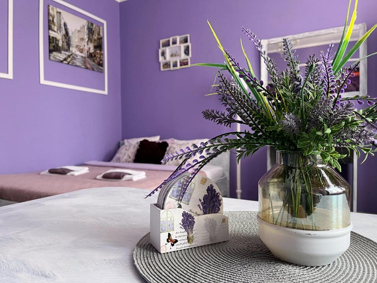 Apartament Lawendowy Валбжих Экстерьер фото