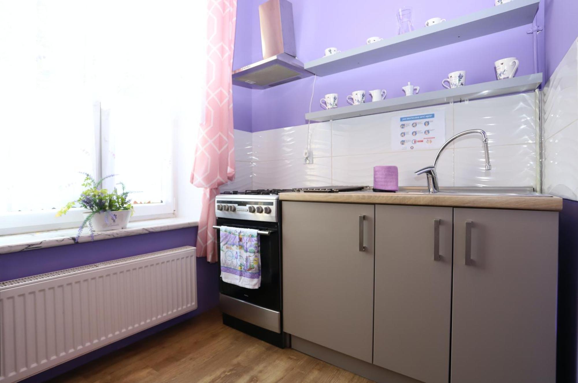 Apartament Lawendowy Валбжих Экстерьер фото